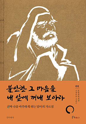 불안한 그 마음을 내 앞에 꺼내 보아라 : 진짜 나를 마주하게 하는 달마의 가르침 표지