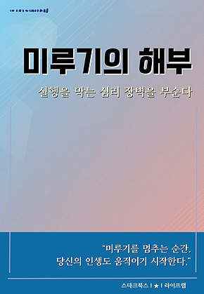 미루기의 해부 표지