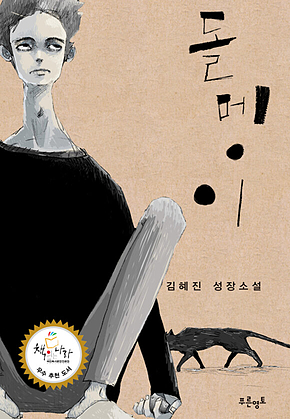돌멩이 표지
