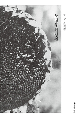 노랑무늬영원 [개정판] 표지