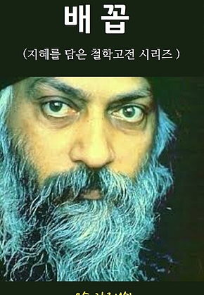 배꼽 : 지혜를 담은 철학고전 시리즈 표지