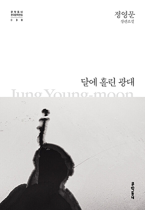 달에 홀린 광대 (한국문학전집 030) 표지