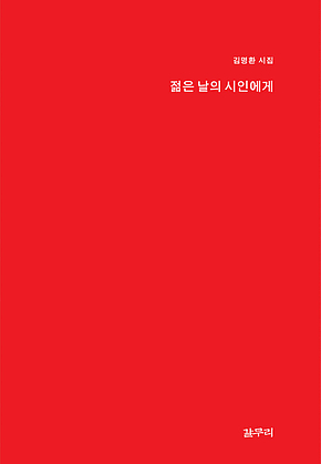 젊은 날의 시인에게 : 시집 표지