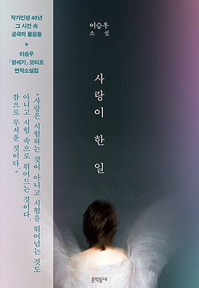 사랑이 한 일 표지