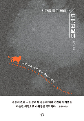 시간을 물고 달아난 도둑고양이 : 시의 길을 따라 걷는 죽음의 풍경 표지