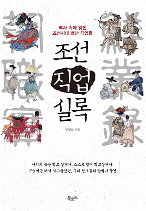 조선직업실록 : 역사 속에 잊힌 조선시대 별난 직업들 표지