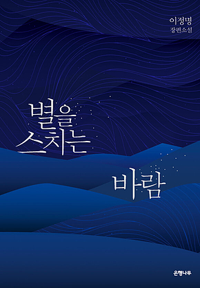 별을 스치는 바람 표지
