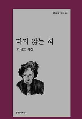 타지 않는 혀 표지