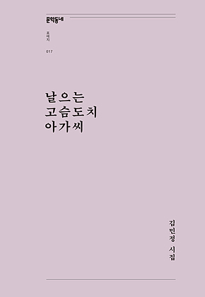 날으는 고슴도치 아가씨 (문학동네포에지017) 표지