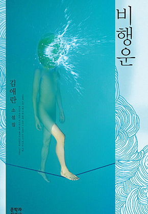 비행운 표지