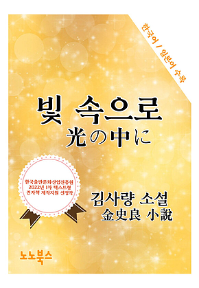 빛 속으로 : 한국어 일본어로 읽는 근대문학 표지