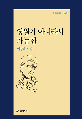 영원이 아니라서 가능한 표지