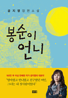 봉순이 언니 표지