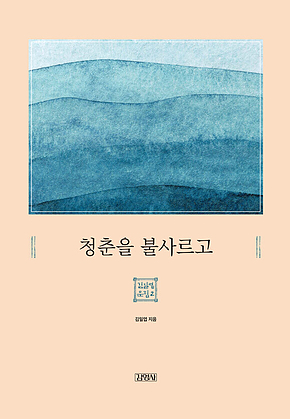 청춘을 불사르고 : 김일엽 문집-2 표지