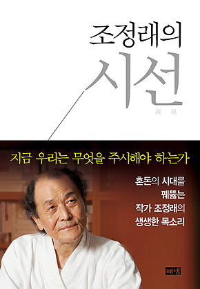 조정래의 시선 : 지금 우리는 무엇을 주시해야 하는가 표지