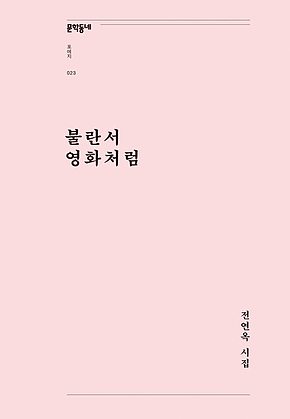 불란서 영화처럼 (문학동네포에지023) 표지