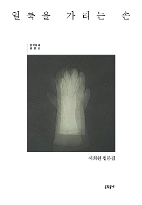 얼룩을 가리는 손 (문학동네 평론선) 표지