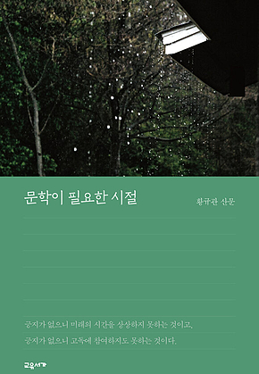 문학이 필요한 시절 표지