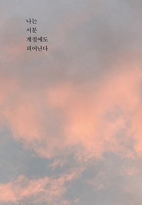 나는 서툰 계절에도 피어난다 : 지난 시간을 들여다보니, 애쓰고 괜찮은 나를 만났다. 표지