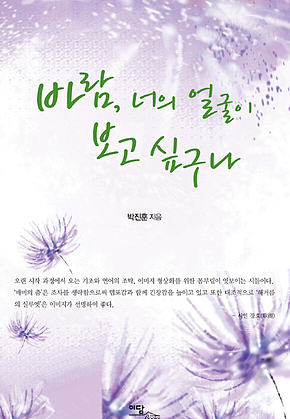 바람 너의 얼굴이 보고 싶구나 표지