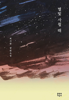 별빛 사윌 때 표지
