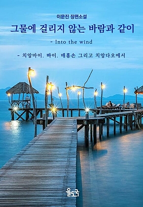 그물에 걸리지 않는 바람과 같이 표지