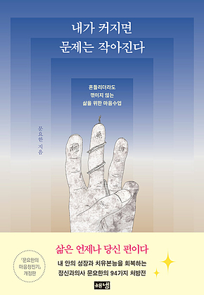 내가 커지면 문제는 작아진다 : 흔들리더라도 꺾이지 않는 삶을 위한 마음수업 표지