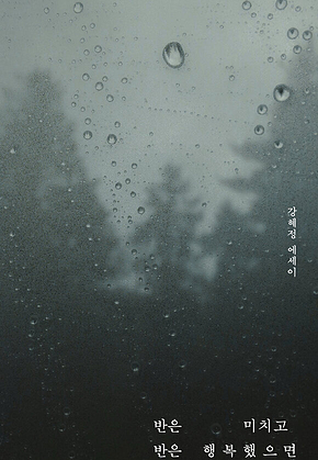 반은 미치고 반은 행복했으면 표지