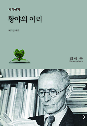 황야의 이리 표지