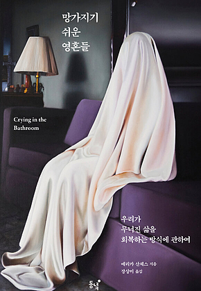 망가지기 쉬운 영혼들 : 우리가 무너진 삶을 회복하는 방식에 관하여 표지
