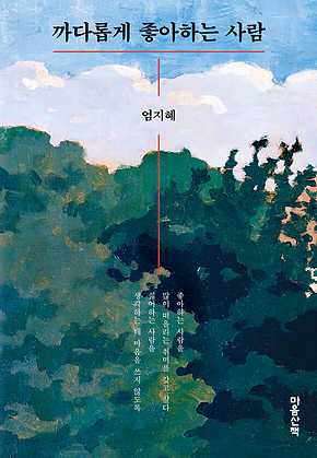 까다롭게 좋아하는 사람 표지