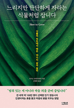 느리지만 단단하게 자라는 식물처럼 삽니다 표지