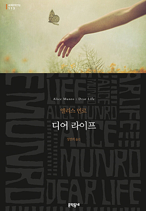 디어 라이프 : 2013 노벨문학상 수상 - 세계문학전집 113 표지