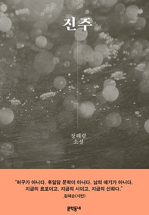 진주 표지