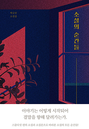 소설의 순간들 표지