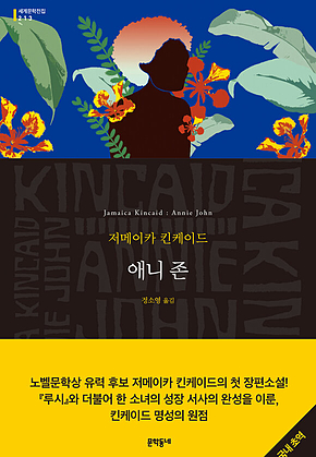 애니 존 (세계문학전집 213) 표지