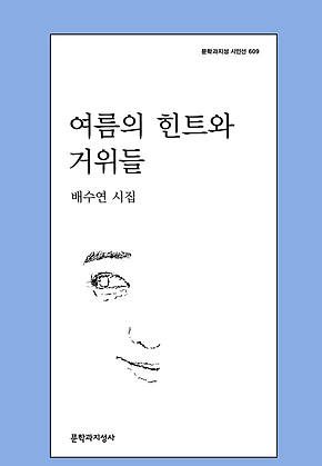 여름의 힌트와 거위들 표지