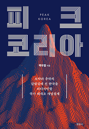 피크 코리아 : 도약과 추락의 갈림길에 선 한국을 리디자인할 국가 대개조 개념설계 표지