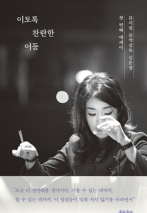 이토록 찬란한 어둠 표지