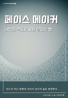 페이스 메이커 표지