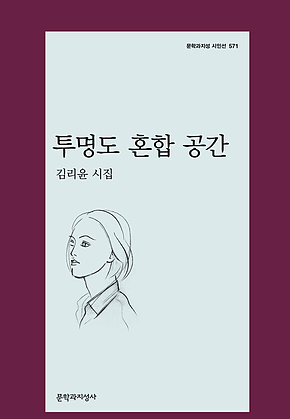 투명도 혼합 공간 표지