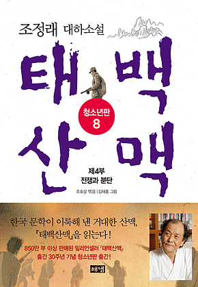 태백산맥 청소년판 8 표지