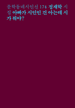 아빠가 시인인 건 아는데 시가 뭐야? (문학동네시인선 174) 표지