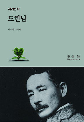 도련님 표지