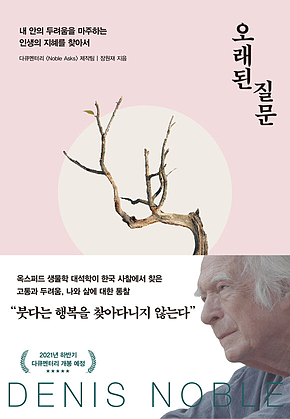 오래된 질문 : 내 안의 두려움을 마주하는 인생의 지혜를 찾아서 표지