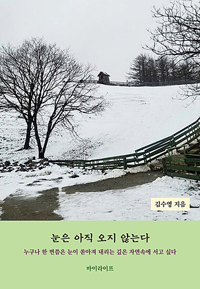 눈은 아직 오지 않는다 : 누구나 한 번쯤은 눈이 쏟아져 내리는 깊은 자연속에 서고 싶다 표지