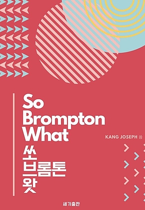 쏘 브롬톤 왓(So Brompton What) : 세계에서 가장 완벽한 폴딩 자전거 표지