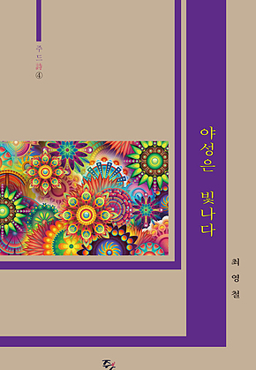 야성은 빛나다 표지