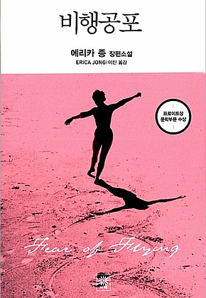 비행공포 표지