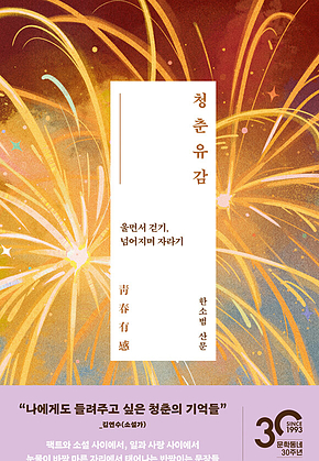 청춘유감 : 울면서 걷기, 넘어지며 자라기 표지
